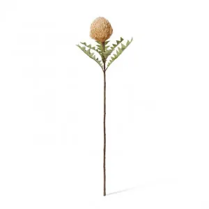 Banksia Ba x teri Stem - 20 x 11 x 69cm by Elme Living, a Plants for sale on Style Sourcebook