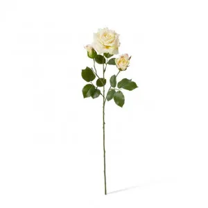 Rose Classic Spray - 13 x 7 x 56cm by Elme Living, a Plants for sale on Style Sourcebook