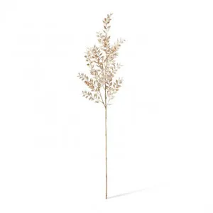 Ruscus Deco Spray - 28 x 12 x 94cm by Elme Living, a Plants for sale on Style Sourcebook