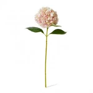 Hydrangea Grand Stem - 25 x 25 x 69cm by Elme Living, a Plants for sale on Style Sourcebook