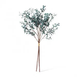 Eucalyptus Decor Bundle - 25 x 25 x 72cm by Elme Living, a Plants for sale on Style Sourcebook