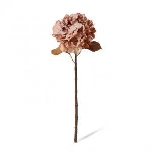 Hydrangea Anna Decor Stem - 20 x 20 x 63cm by Elme Living, a Plants for sale on Style Sourcebook