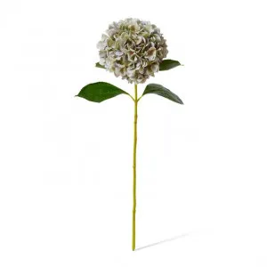 Hydrangea Grand Stem - 25 x 25 x 69cm by Elme Living, a Plants for sale on Style Sourcebook