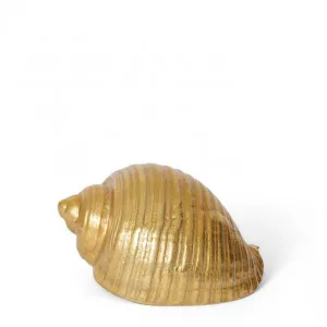 Moon Snail Shell Sculpture - 22 x 16 x 12cm by Elme Living, a Statues & Ornaments for sale on Style Sourcebook
