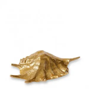 Mure x  Shell Sculpture - 33 x 19 x 10cm by Elme Living, a Statues & Ornaments for sale on Style Sourcebook