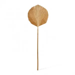 Fan Palm Decor Leaf - 25 x 3 x 80cm by Elme Living, a Plants for sale on Style Sourcebook