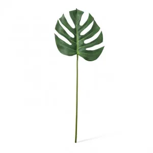 Monstera Lush Stem - 28 x 2 x 75cm by Elme Living, a Plants for sale on Style Sourcebook