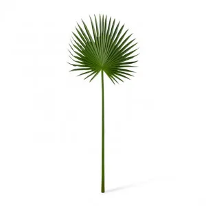 Palm Fan Leaf - 38 x 1 x 84cm by Elme Living, a Plants for sale on Style Sourcebook