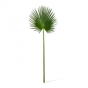 Palm Fan Leaf - 45 x 1 x 112cm by Elme Living, a Plants for sale on Style Sourcebook