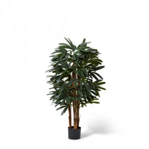 Palm Raphis - 45 x 45 x 120cm by Elme Living, a Plants for sale on Style Sourcebook