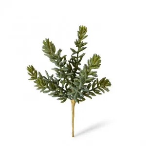 Sedum Stem - 12 x 10 x 20cm by Elme Living, a Plants for sale on Style Sourcebook