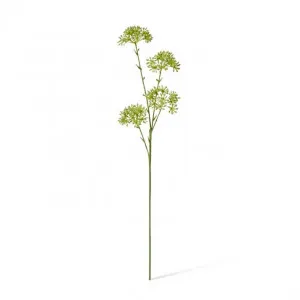 Seeding Nut Spray - 23 x 15 x 58cm by Elme Living, a Plants for sale on Style Sourcebook