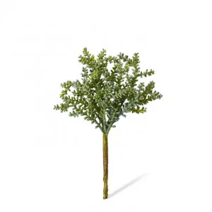 Senecio Stem - 12 x 12 x 19cm by Elme Living, a Plants for sale on Style Sourcebook