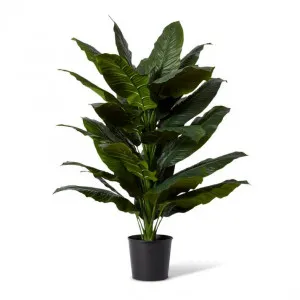 Spathiphyllum Potted - 78 x 73 x 128cm by Elme Living, a Plants for sale on Style Sourcebook