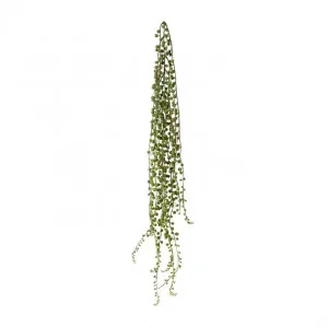 String of Pearls - 12 x 12 x 85cm by Elme Living, a Plants for sale on Style Sourcebook