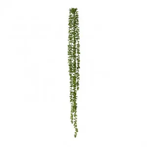 String of Pearls Hanging Plant - 10 x 8 x 96cm by Elme Living, a Plants for sale on Style Sourcebook