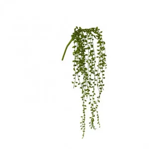 String of Pearls Hanging Plant - 13 x 7 x 49cm by Elme Living, a Plants for sale on Style Sourcebook