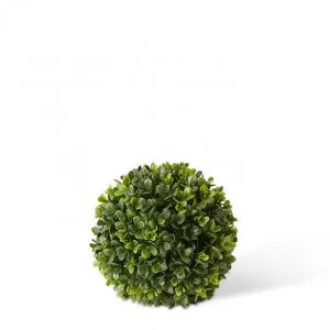 Topiary Boxwood Ball (Outdoor) - 18 x 18 x 18cm by Elme Living, a Plants for sale on Style Sourcebook