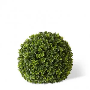 Topiary Boxwood Ball (Outdoor) - 32 x 32 x 32cm by Elme Living, a Plants for sale on Style Sourcebook