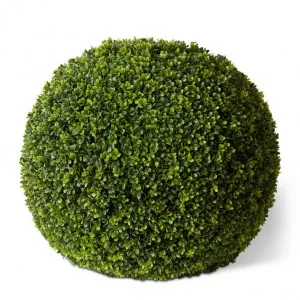 Topiary Boxwood Ball (Outdoor) - 61 x 61 x 61cm by Elme Living, a Plants for sale on Style Sourcebook