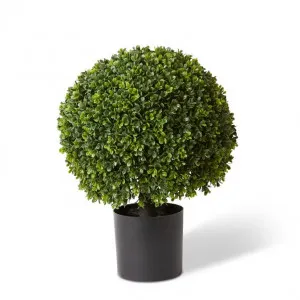 Topiary Boxwood Potted (Outdoor) - 43 x 43 x 51cm by Elme Living, a Plants for sale on Style Sourcebook