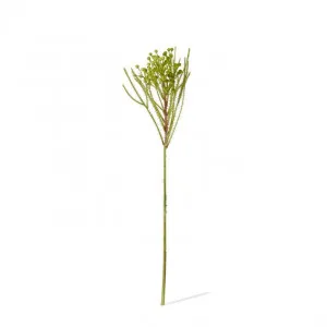 Berzelia Spray - 13 x 5 x 46cm by Elme Living, a Plants for sale on Style Sourcebook