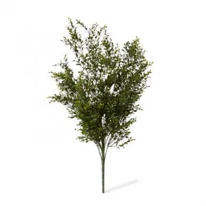 Boxwood Bush - 59 x 53 x 78cm by Elme Living, a Plants for sale on Style Sourcebook