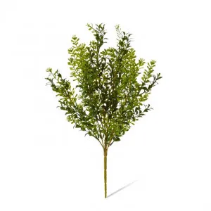 Boxwood Seeding Bush (Outdoor) - 25 x 25 x 51cm by Elme Living, a Plants for sale on Style Sourcebook