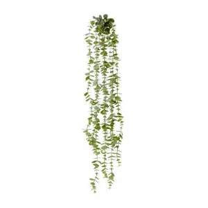 Coin Leaf Hanging Bush - 16 x 10 x 81cm by Elme Living, a Plants for sale on Style Sourcebook