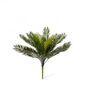 Cycas Bush - 38 x 38 x 36cm by Elme Living, a Plants for sale on Style Sourcebook