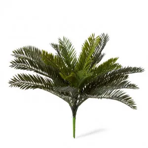 Cycas Bush (Outdoor) - 48 x 48 x 43cm by Elme Living, a Plants for sale on Style Sourcebook