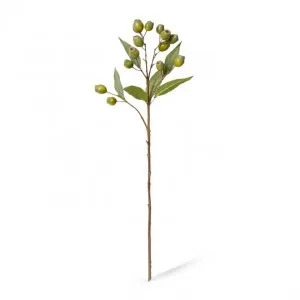 Eucalyptus Gum Nut Spray - 24 x 20 x 67cm by Elme Living, a Plants for sale on Style Sourcebook