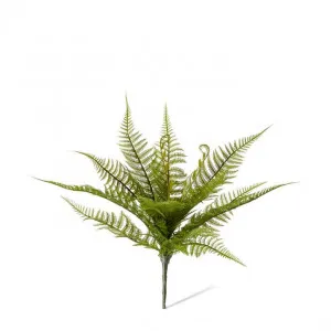 Fern Bracken (Outdoor) - 45 x 45 x 35cm by Elme Living, a Plants for sale on Style Sourcebook