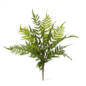 Fern Chain (Outdoor) - 36 x 36 x 46cm by Elme Living, a Plants for sale on Style Sourcebook