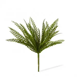 Fern Lemon Button - 38 x 38 x 33cm by Elme Living, a Plants for sale on Style Sourcebook