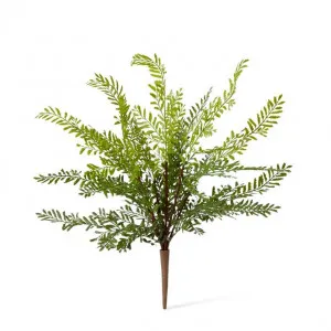 Fern Mother (Outdoor) - 36 x 36 x 43cm by Elme Living, a Plants for sale on Style Sourcebook