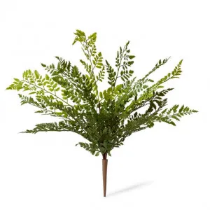 Fern Tassel (Outdoor) - 36 x 36 x 46cm by Elme Living, a Plants for sale on Style Sourcebook