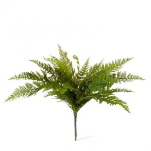 Fern Tassel (Outdoor) - 65 x 65 x 45cm by Elme Living, a Plants for sale on Style Sourcebook