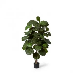 Fiddle Tree - 60 x 60 x 150cm by Elme Living, a Plants for sale on Style Sourcebook