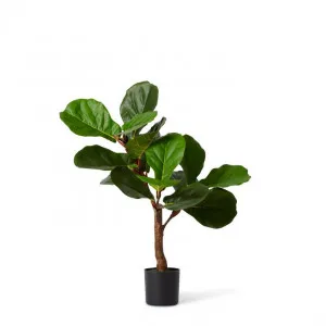 Fiddle Tree - 49 x 49 x 70cm by Elme Living, a Plants for sale on Style Sourcebook