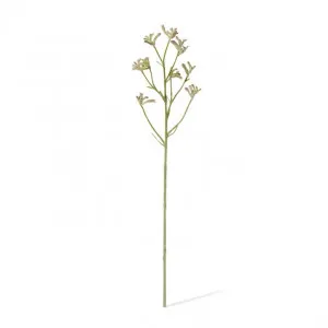 Kangaroo Paw Spray - 13 x 5 x 71cm by Elme Living, a Plants for sale on Style Sourcebook