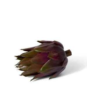 Artichoke - 8 x 8 x 13cm by Elme Living, a Plants for sale on Style Sourcebook