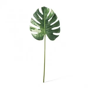 Monstera Lush Stem - 33 x 2 x 78cm by Elme Living, a Plants for sale on Style Sourcebook