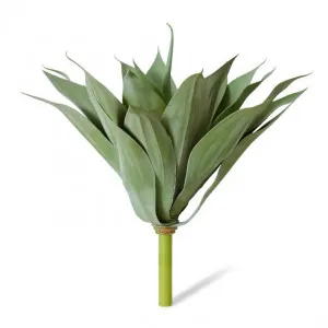 Agave - 55 x 55 x 52cm by Elme Living, a Plants for sale on Style Sourcebook