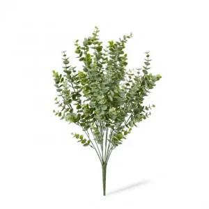 Eucalyptus Bush - 30 x 30 x 50cm by Elme Living, a Plants for sale on Style Sourcebook