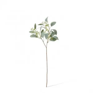 Eucalyptus Seeding Spray - 21 x 21 x 48cm by Elme Living, a Plants for sale on Style Sourcebook