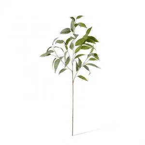Eucalyptus Spray - 50 x 40 x 94cm by Elme Living, a Plants for sale on Style Sourcebook