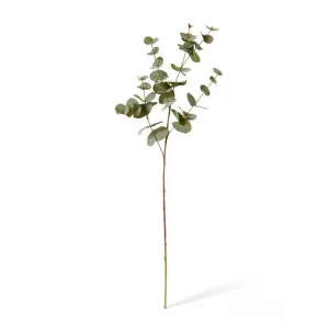 Eucalyptus Spray - 25 x 6 x 86cm by Elme Living, a Plants for sale on Style Sourcebook