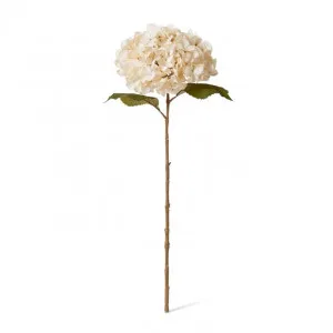 Hydrangea Decor Stem - 26 x 23 x 66cm by Elme Living, a Plants for sale on Style Sourcebook