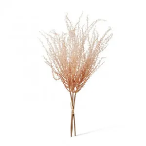 Pampas Decor Bundle - 25 x 25 x 60cm by Elme Living, a Plants for sale on Style Sourcebook